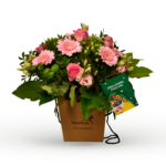 Nat. Lottery Club GROEN/ROZE