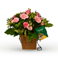 Nat. Lottery Club GROEN/ROZE