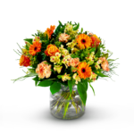 Oranje gloed