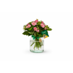 Nat. Lottery Club GREEN/PINK B