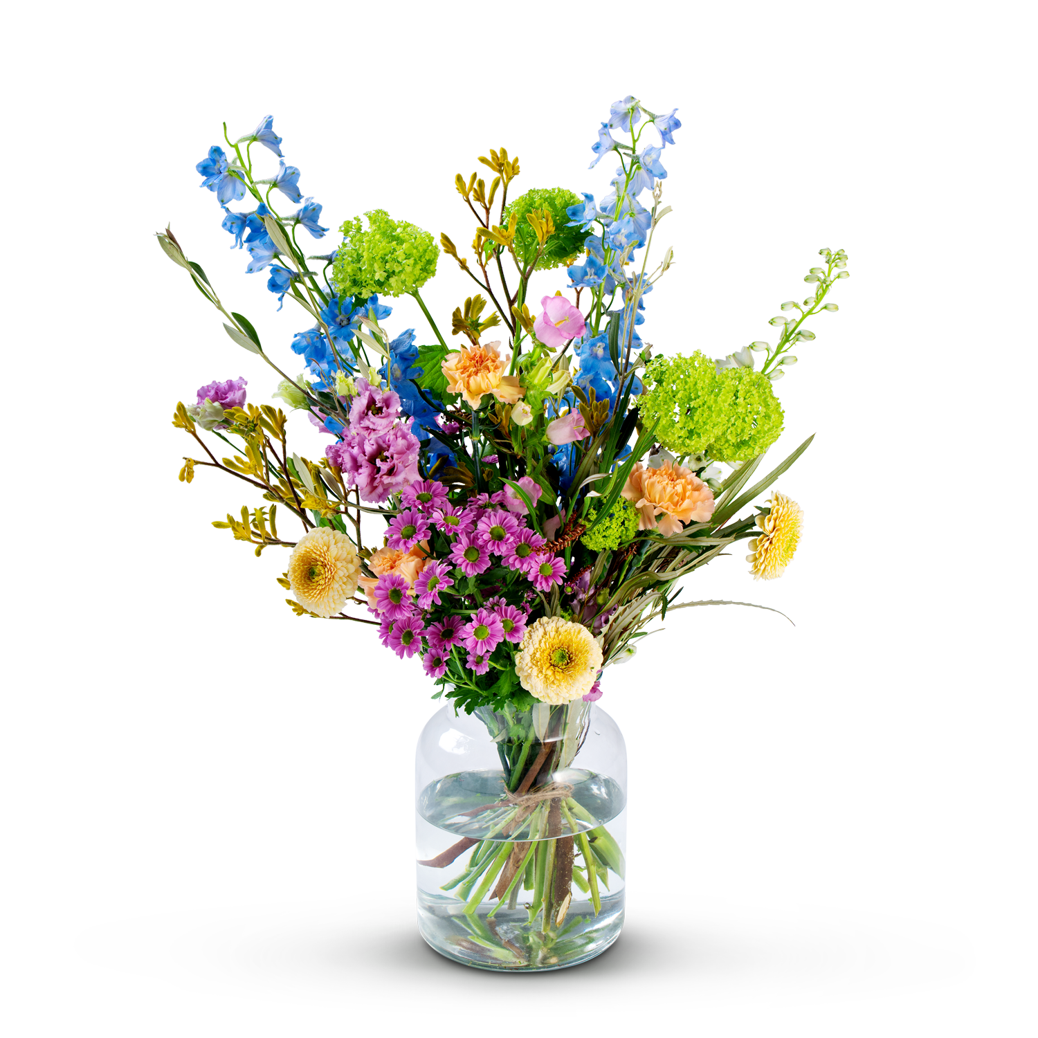 010099_M.png Kleuren explosie - Afbeelding 1